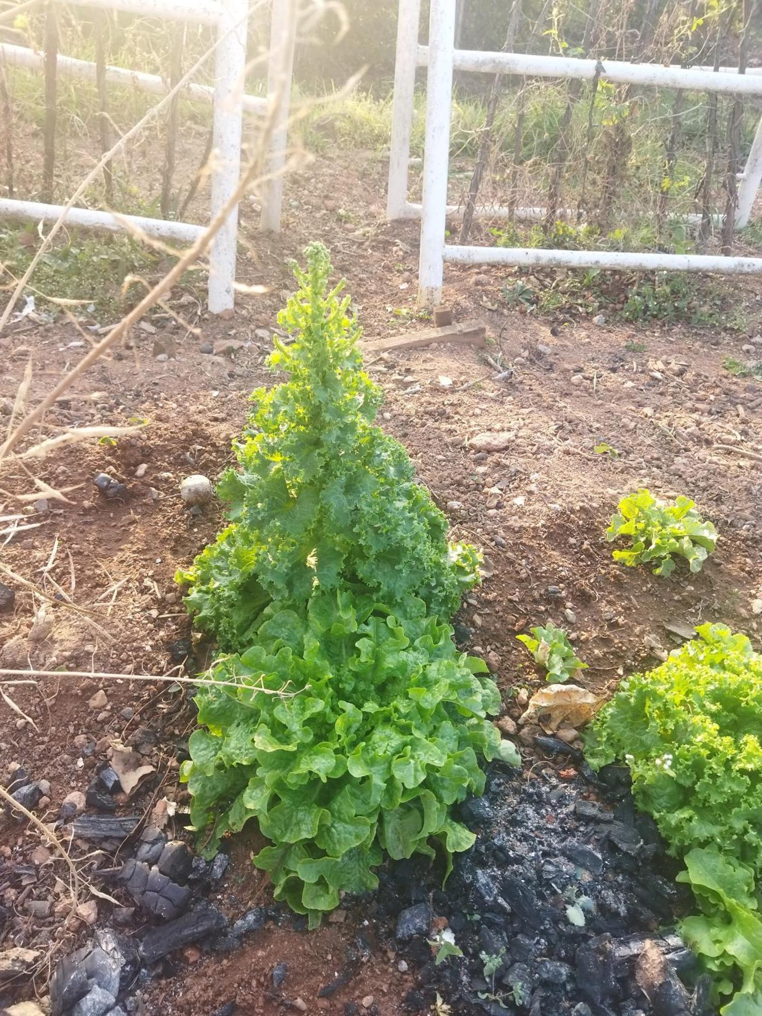 Otentik Guesthouse Mbabane Kültér fotó